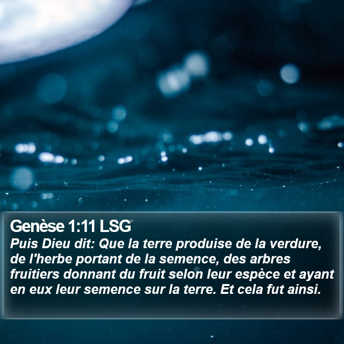 Genèse 1:11 LSG Bible Study