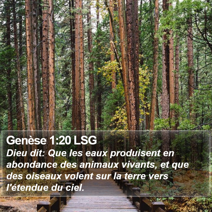 Genèse 1:20 LSG Bible Study