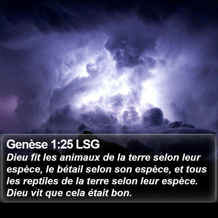 Genèse 1:25 LSG Bible Study