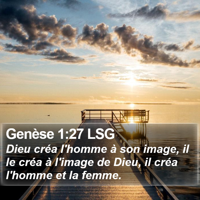 Genèse 1:27 LSG Bible Study