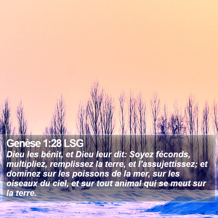 Genèse 1:28 LSG Bible Study