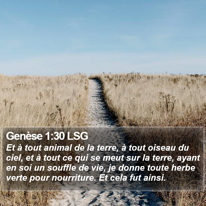 Genèse 1:30 LSG Bible Study