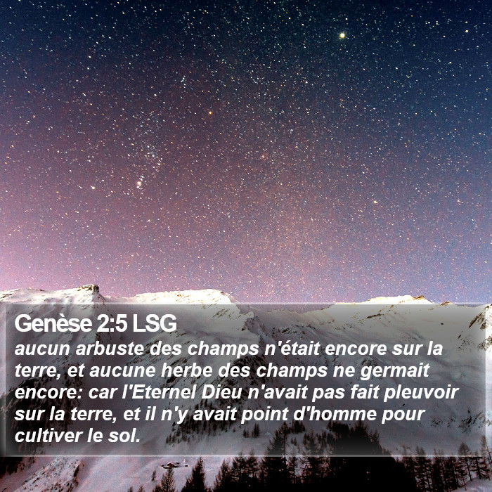 Genèse 2:5 LSG Bible Study
