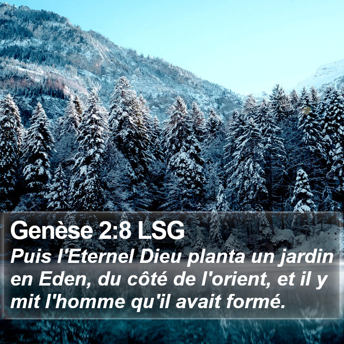 Genèse 2:8 LSG Bible Study