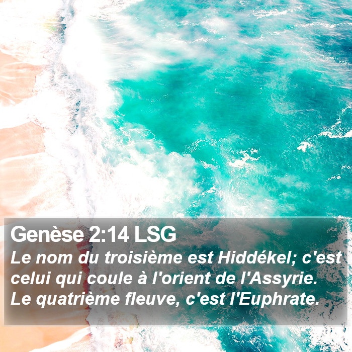 Genèse 2:14 LSG Bible Study