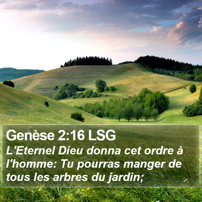 Genèse 2:16 LSG Bible Study