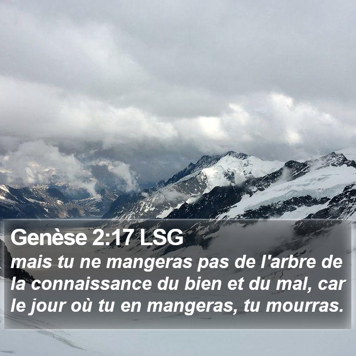 Genèse 2:17 LSG Bible Study
