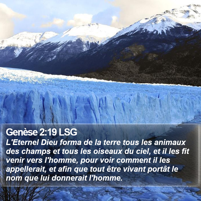 Genèse 2:19 LSG Bible Study