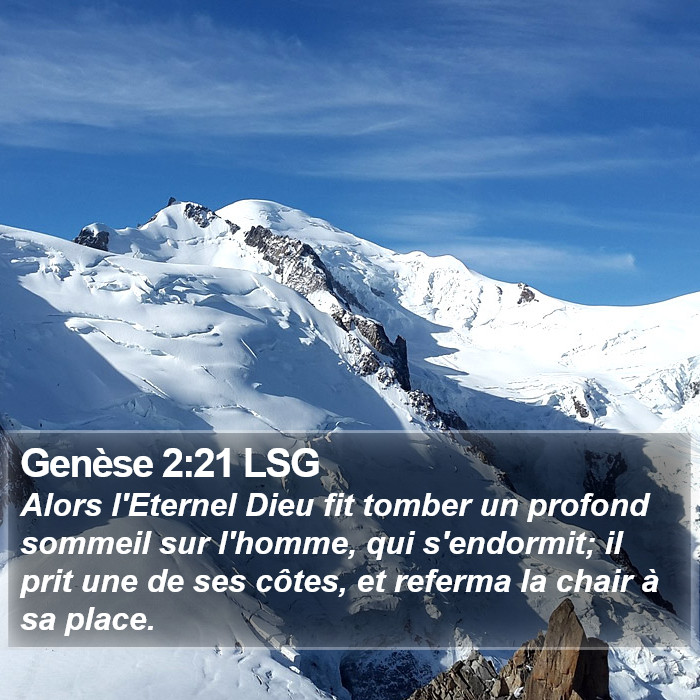 Genèse 2:21 LSG Bible Study