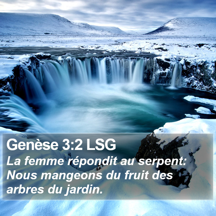 Genèse 3:2 LSG Bible Study