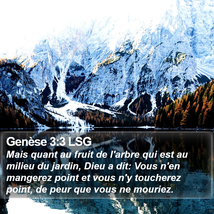 Genèse 3:3 LSG Bible Study