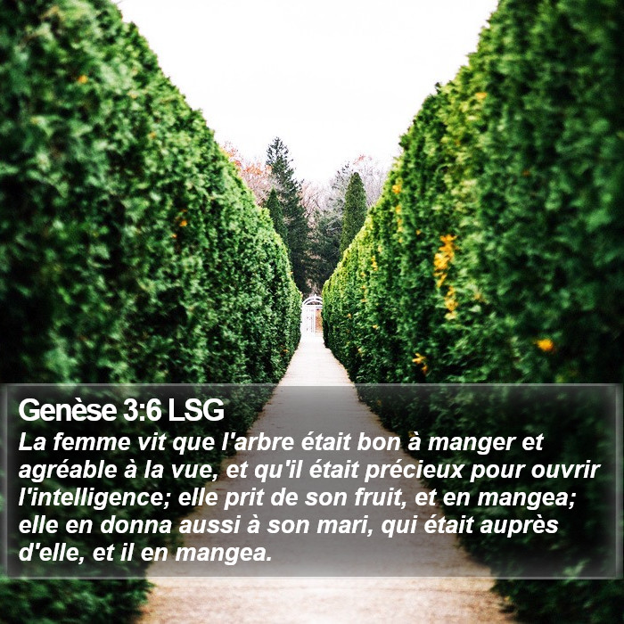 Genèse 3:6 LSG Bible Study