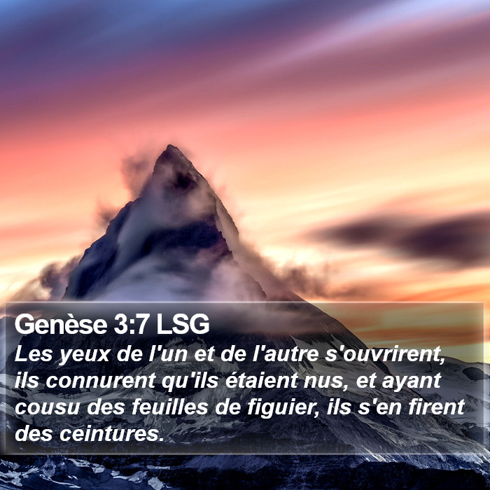 Genèse 3:7 LSG Bible Study