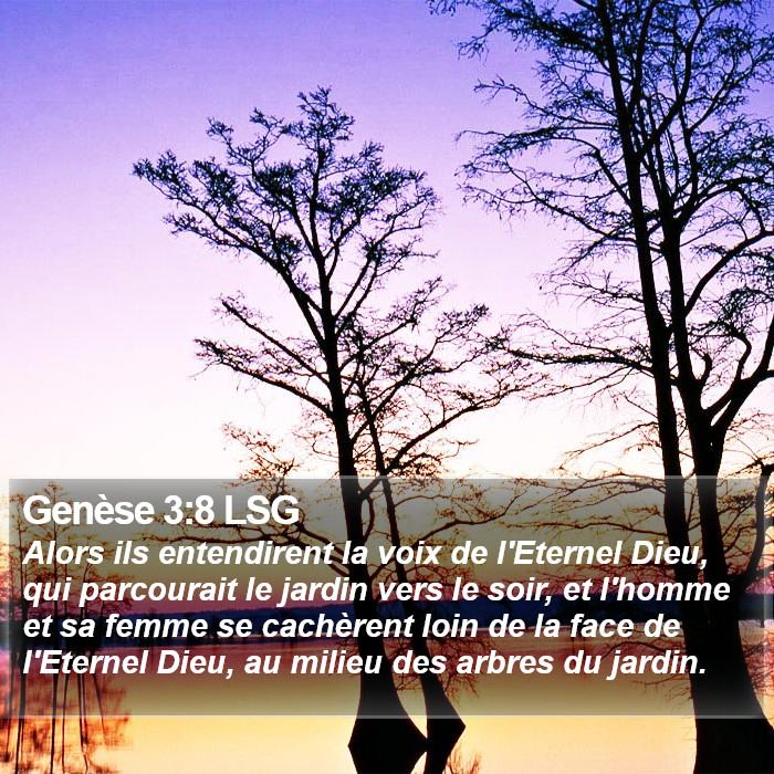 Genèse 3:8 LSG Bible Study
