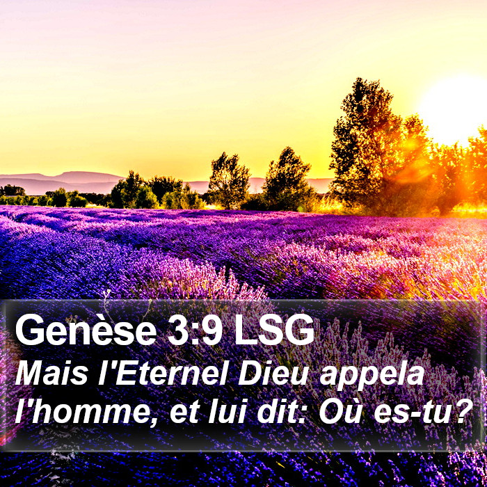 Genèse 3:9 LSG Bible Study