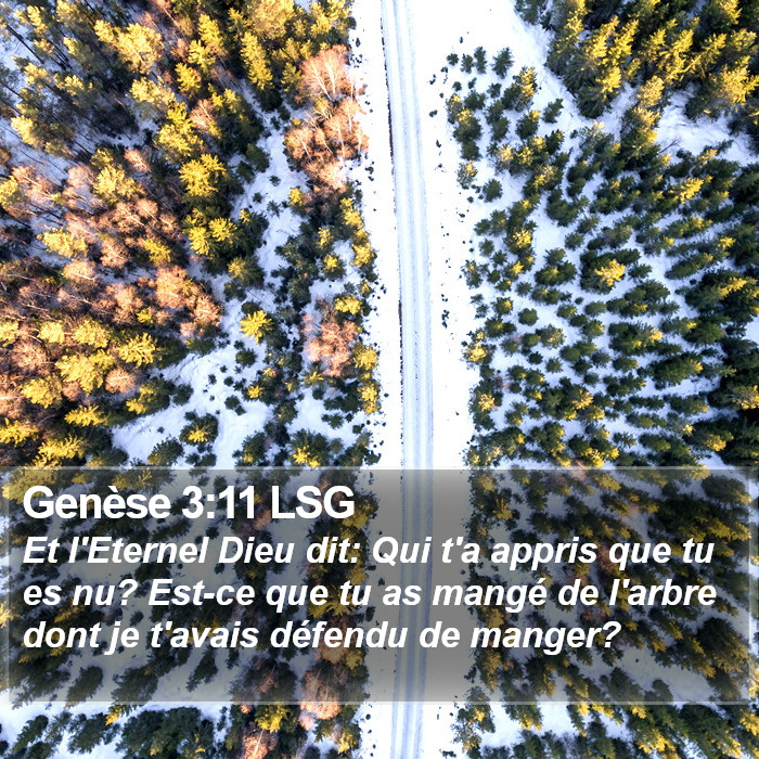 Genèse 3:11 LSG Bible Study