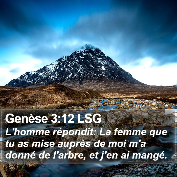 Genèse 3:12 LSG Bible Study