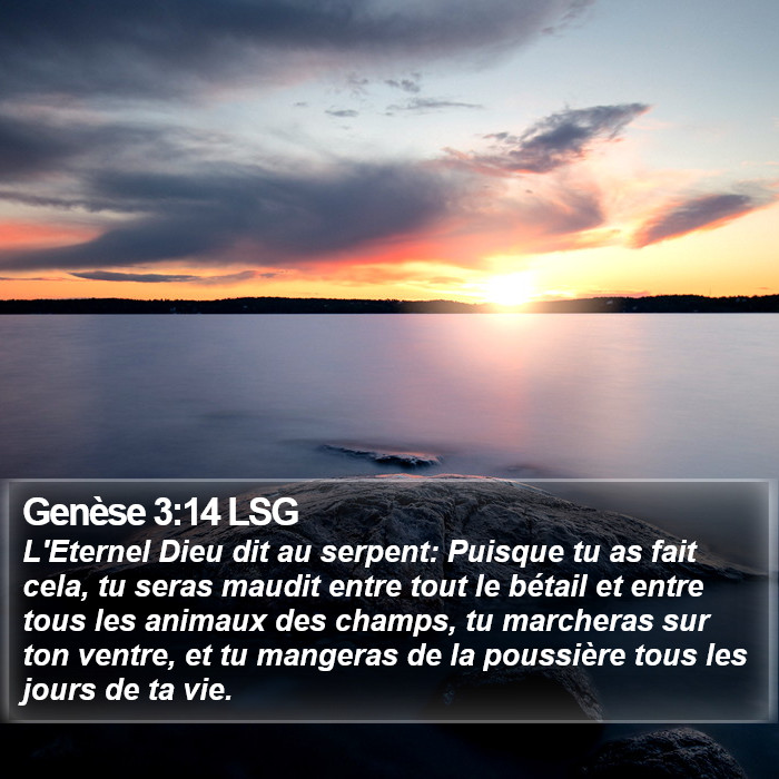 Genèse 3:14 LSG Bible Study