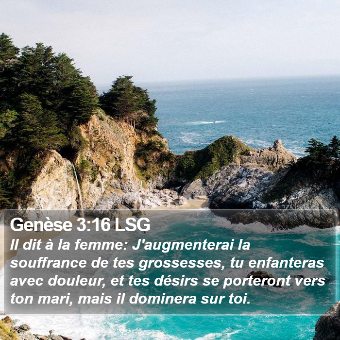 Genèse 3:16 LSG Bible Study