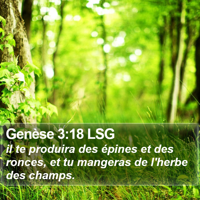 Genèse 3:18 LSG Bible Study