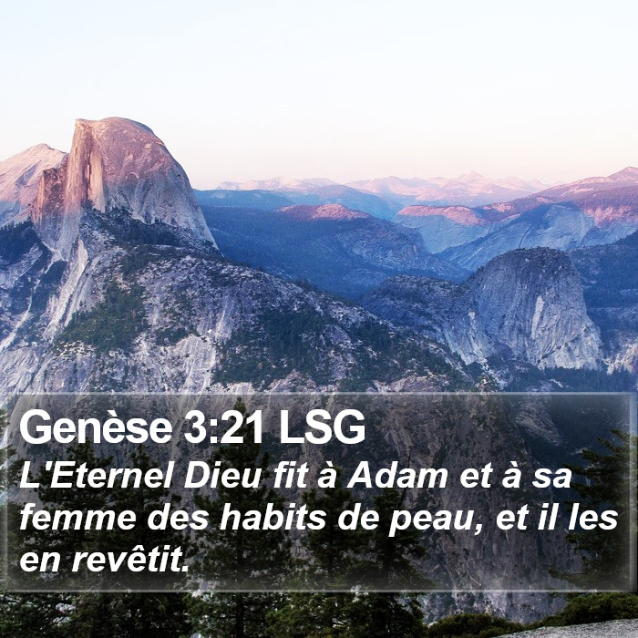 Genèse 3:21 LSG Bible Study