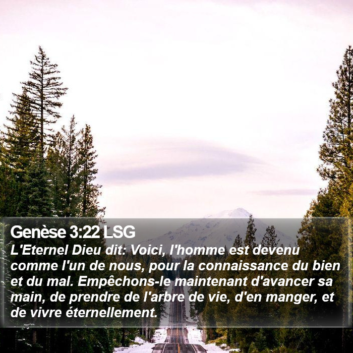 Genèse 3:22 LSG Bible Study