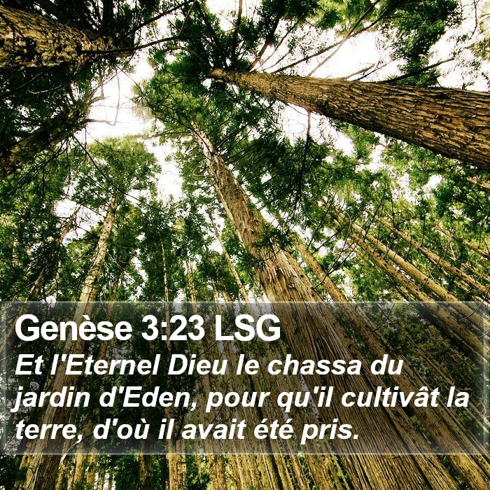 Genèse 3:23 LSG Bible Study