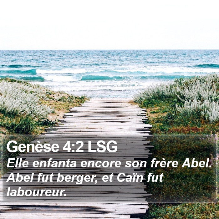 Genèse 4:2 LSG Bible Study