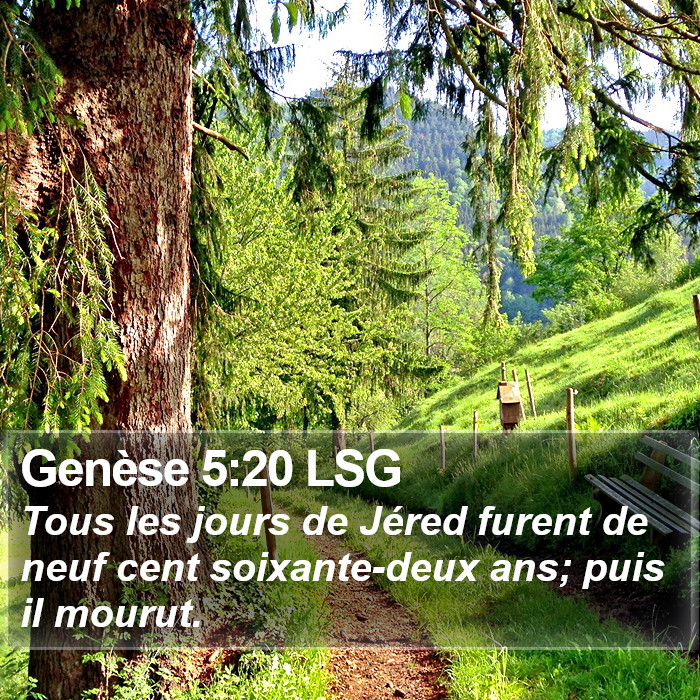 Genèse 5:20 LSG Bible Study