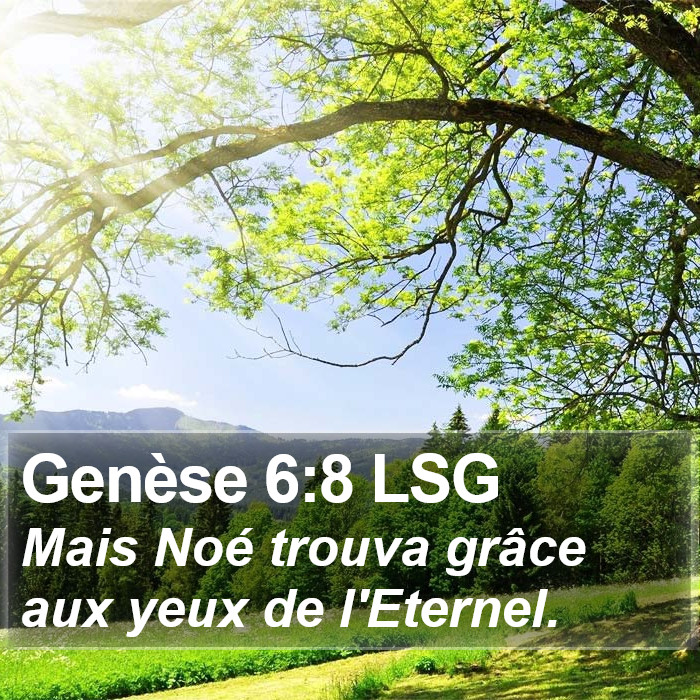 Genèse 6:8 LSG Bible Study