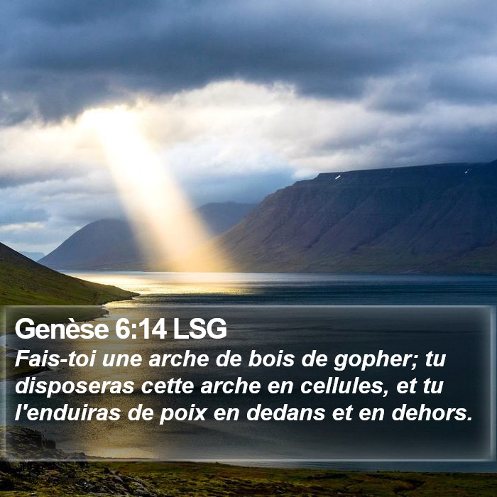 Genèse 6:14 LSG Bible Study