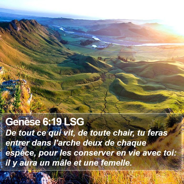 Genèse 6:19 LSG Bible Study