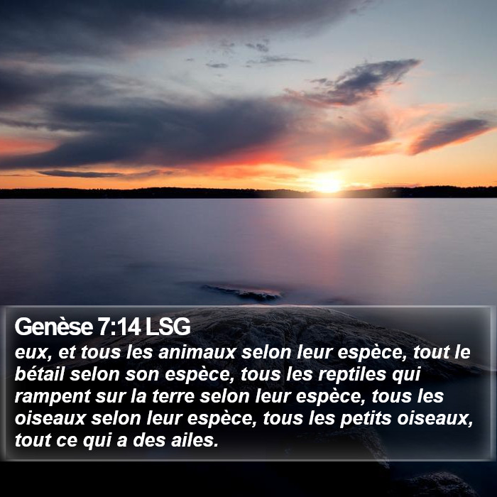 Genèse 7:14 LSG Bible Study