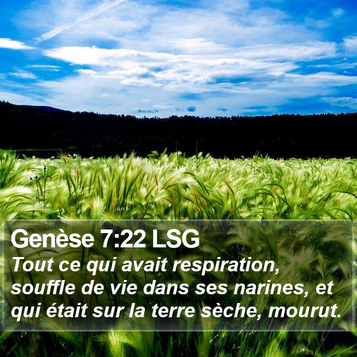 Genèse 7:22 LSG Bible Study