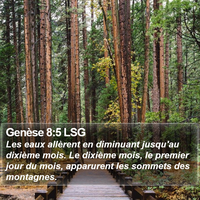Genèse 8:5 LSG Bible Study