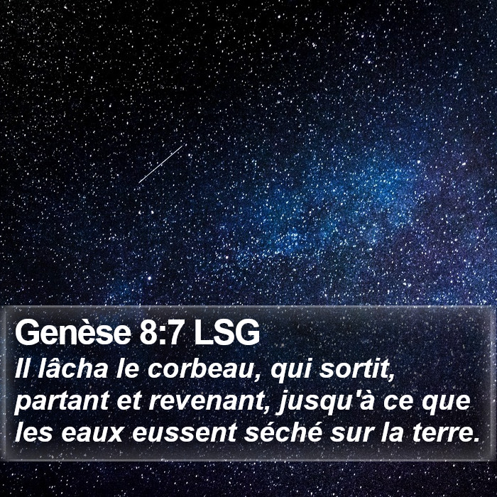 Genèse 8:7 LSG Bible Study