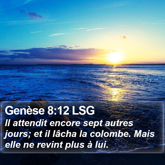 Genèse 8:12 LSG Bible Study