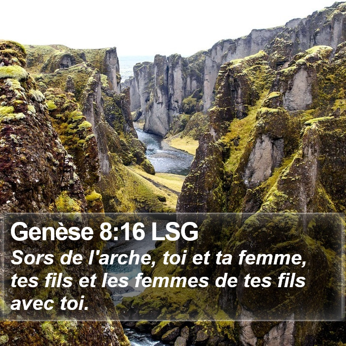 Genèse 8:16 LSG Bible Study