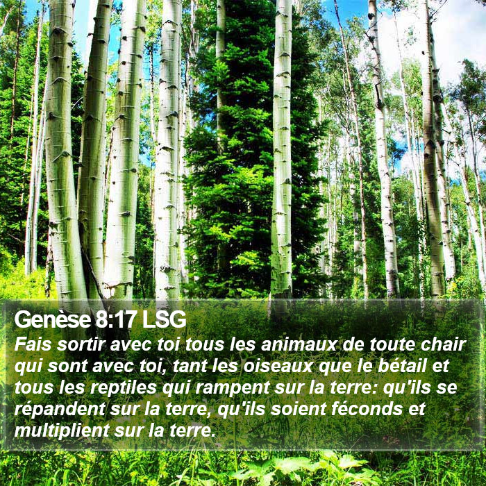 Genèse 8:17 LSG Bible Study