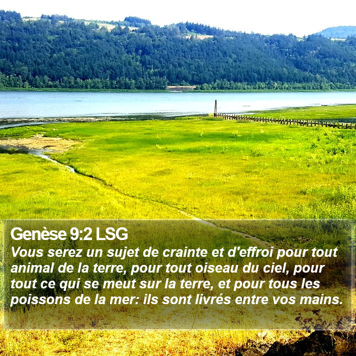 Genèse 9:2 LSG Bible Study