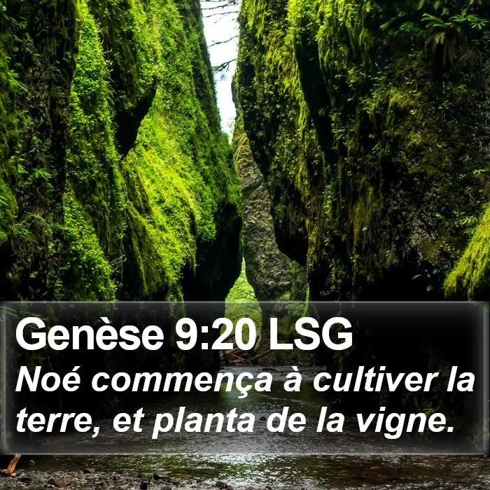 Genèse 9:20 LSG Bible Study