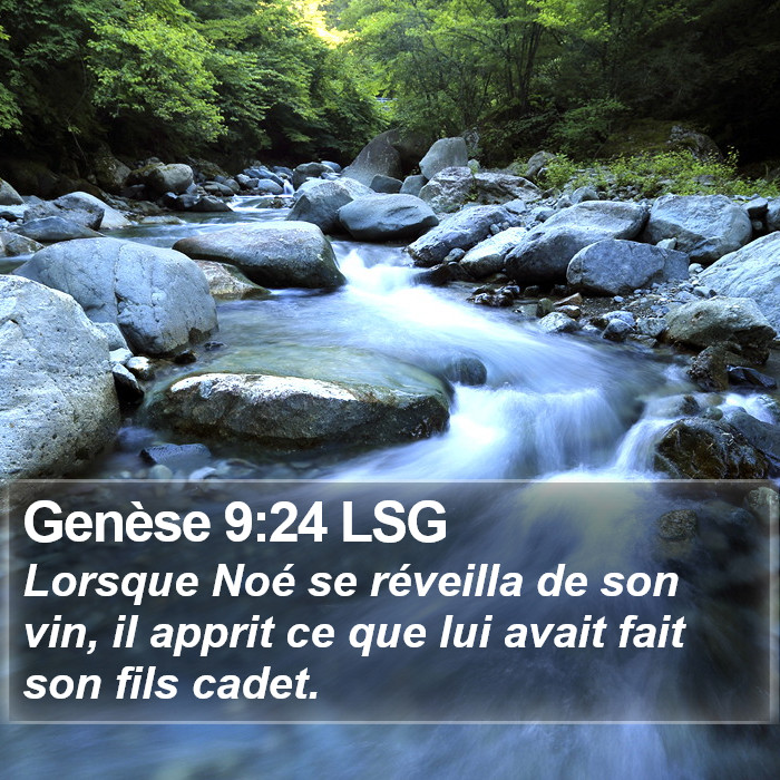 Genèse 9:24 LSG Bible Study