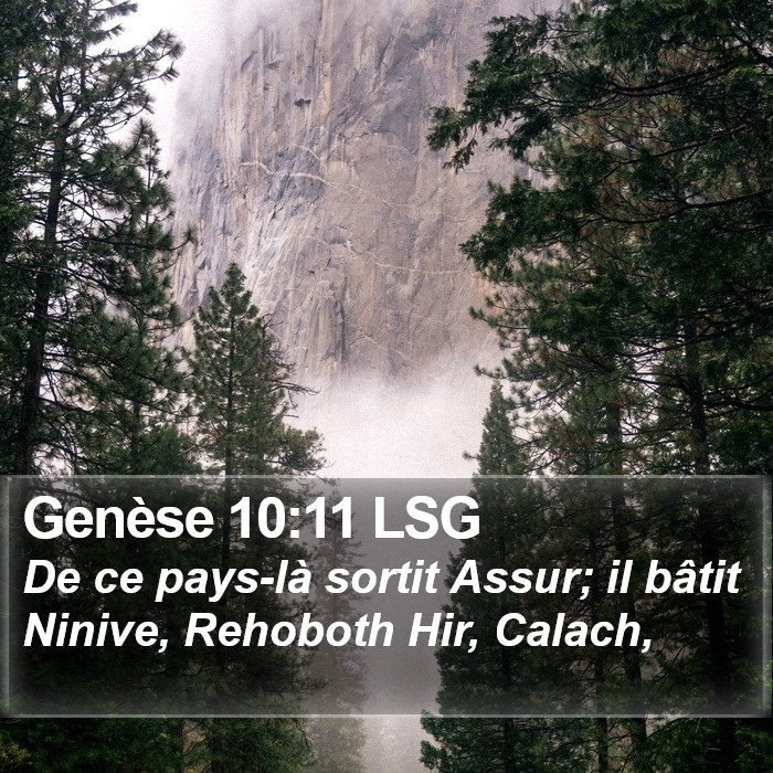 Genèse 10:11 LSG Bible Study