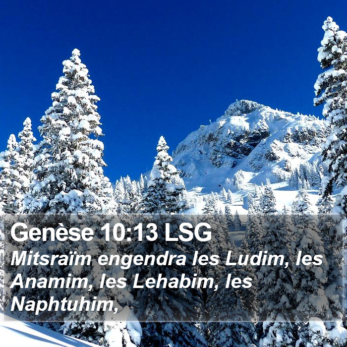 Genèse 10:13 LSG Bible Study