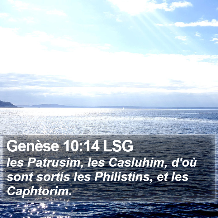 Genèse 10:14 LSG Bible Study