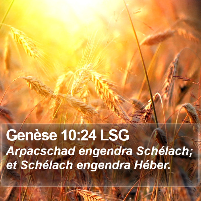 Genèse 10:24 LSG Bible Study