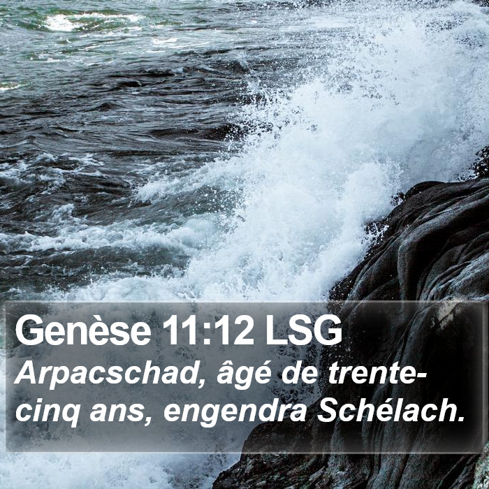 Genèse 11:12 LSG Bible Study