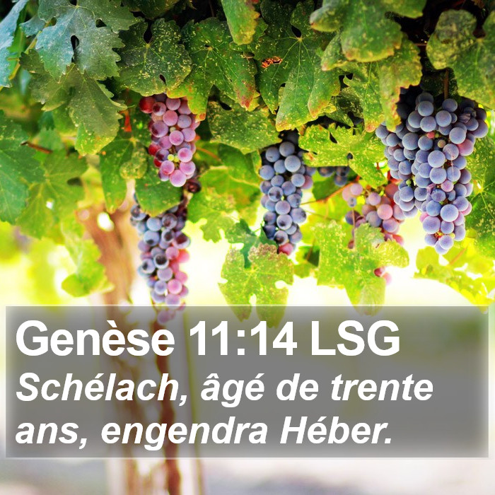 Genèse 11:14 LSG Bible Study