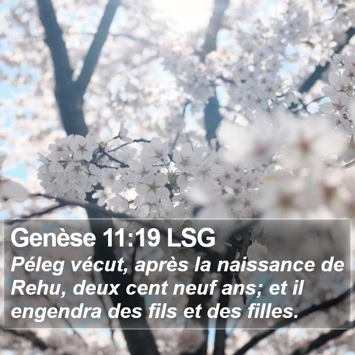 Genèse 11:19 LSG Bible Study