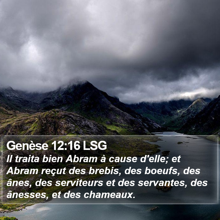 Genèse 12:16 LSG Bible Study